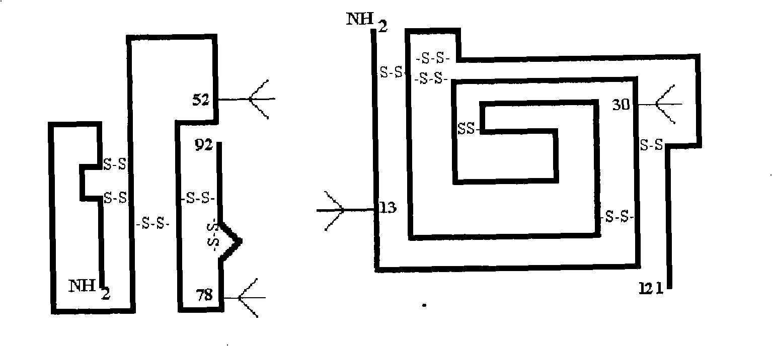 Purification method of follicle stimulating hormone