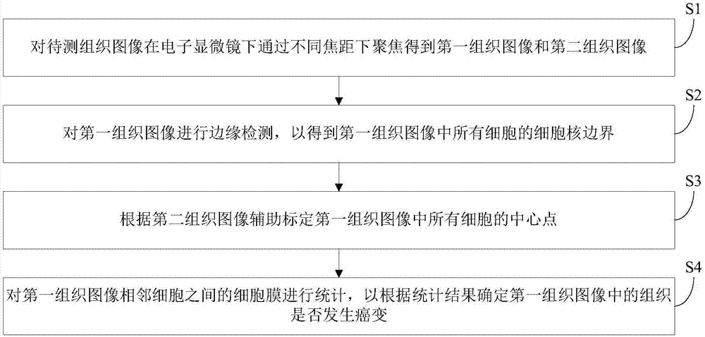 Method for automatically diagnosing cancerous cells