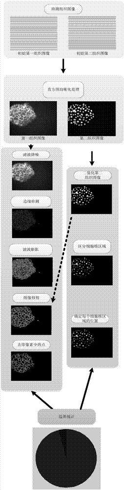 Method for automatically diagnosing cancerous cells