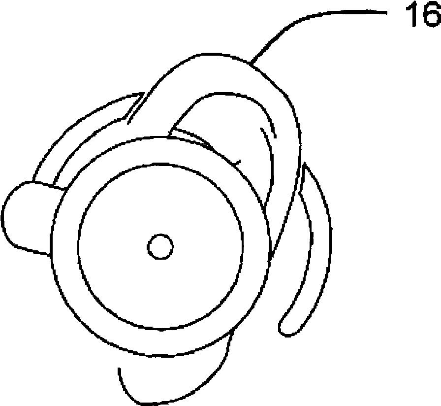 Ear-wearing type physiology feedback device