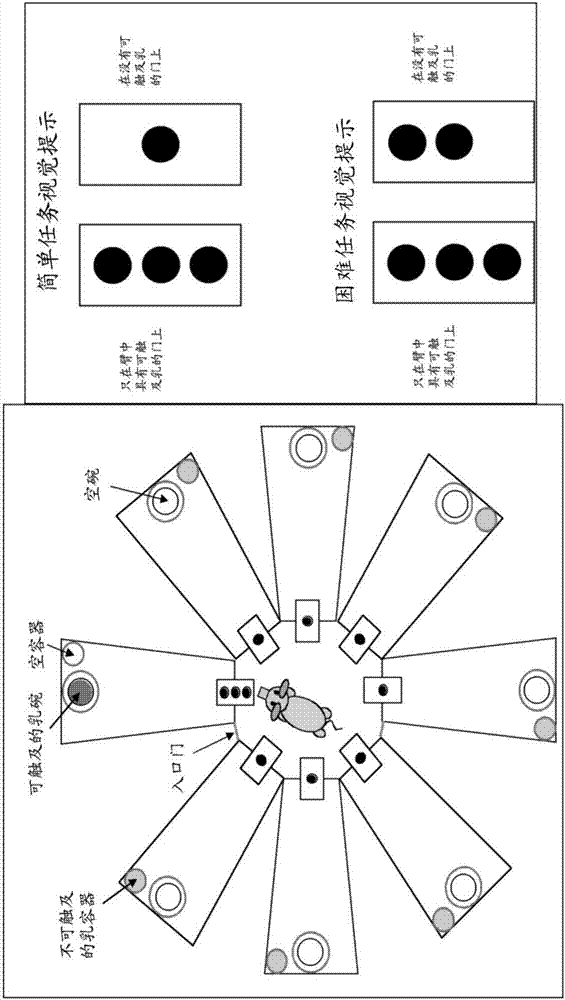 Compostion comprising siallyllactose for use in enhancing learning skills and memory function