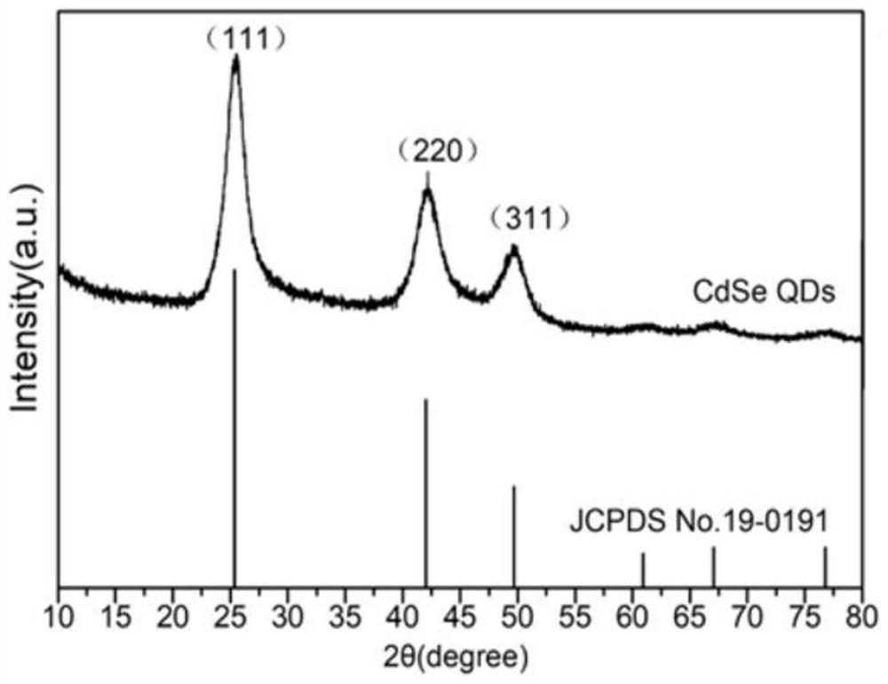 Method for synthesizing CdSe-BiOCl heterojunction