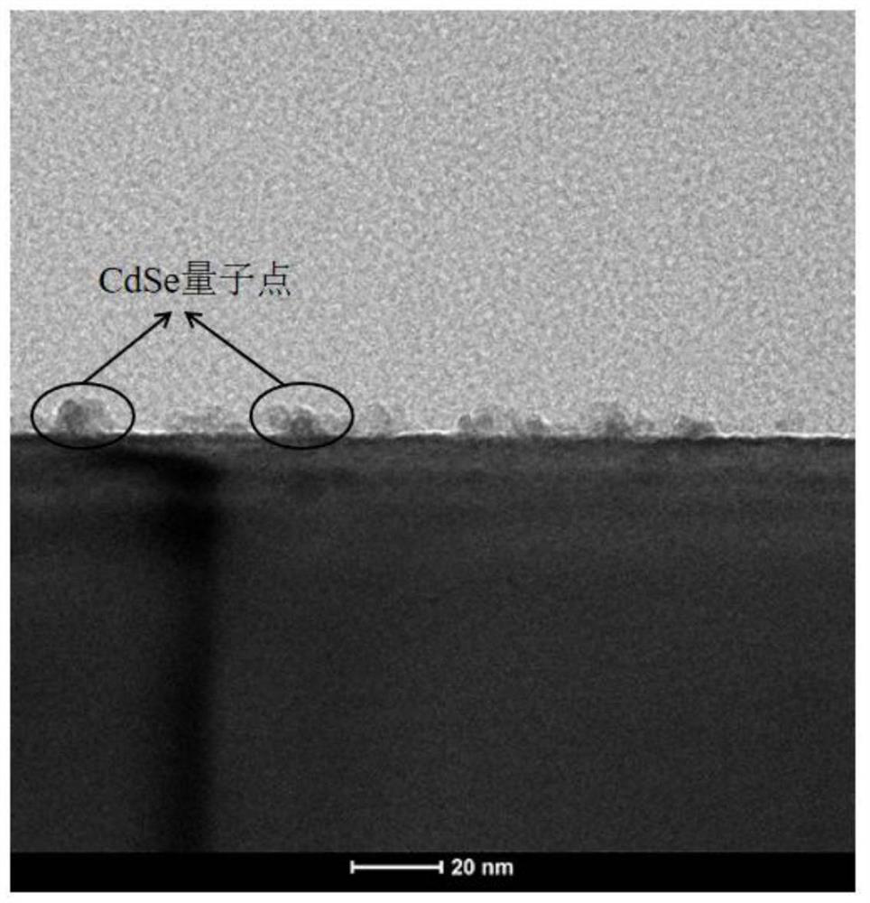 Method for synthesizing CdSe-BiOCl heterojunction