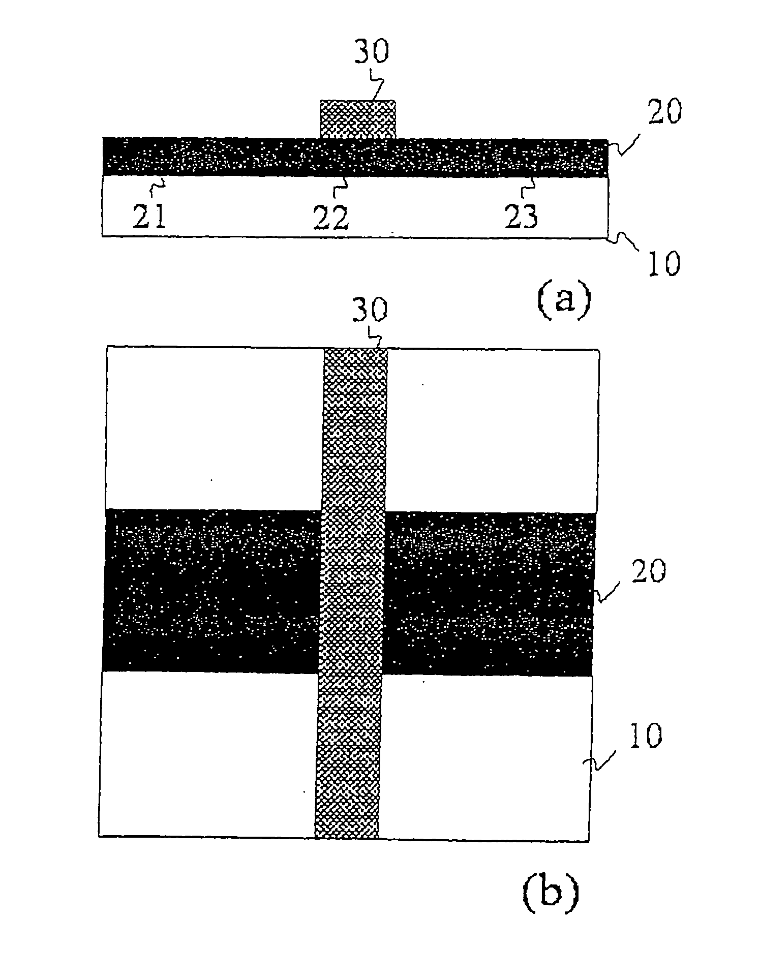 Schottky Gate Organic Field Effect Transistor and Fabrication Method of the Same