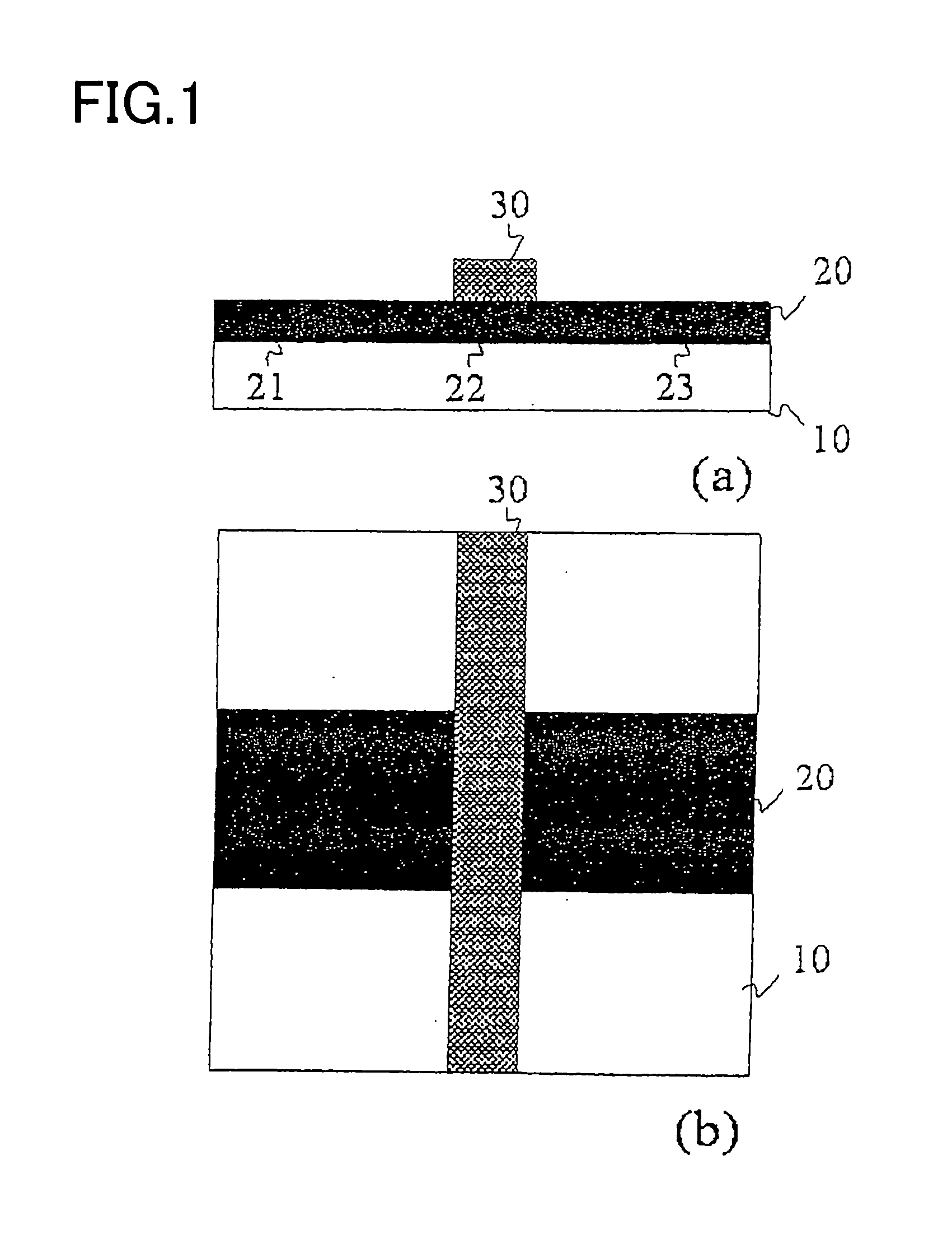 Schottky Gate Organic Field Effect Transistor and Fabrication Method of the Same