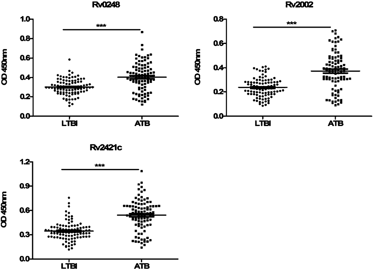 Application of Mycobacterium tuberculosis protein in preparation of products to diagnose patients with latent tuberculosis infection and/or active tuberculosis