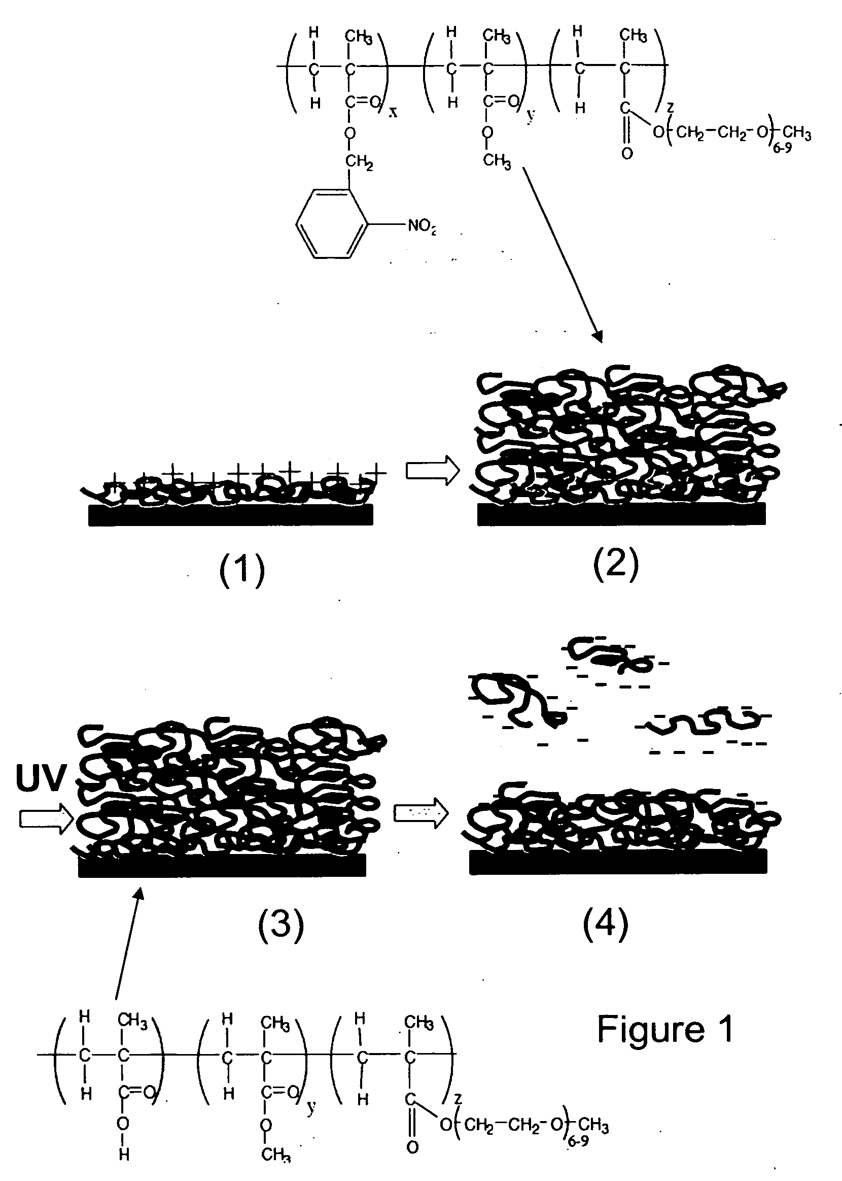 Photogenerated polyelectrolyte bilayers from an aqueous-processible photoresist