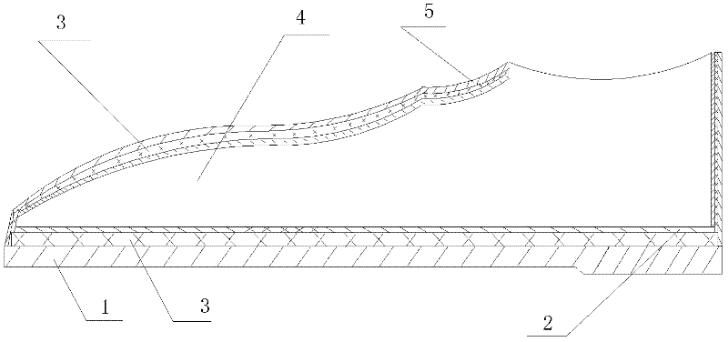 Silver-bearing antibacterial deodorizing shoe