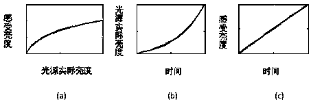 Linear dimming system based on brightness perceived by human eyes