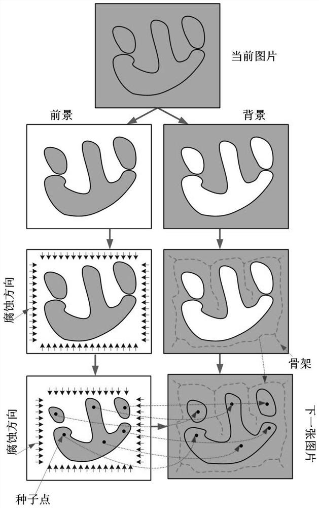 A method for automatic segmentation of serialized visual human body slice images