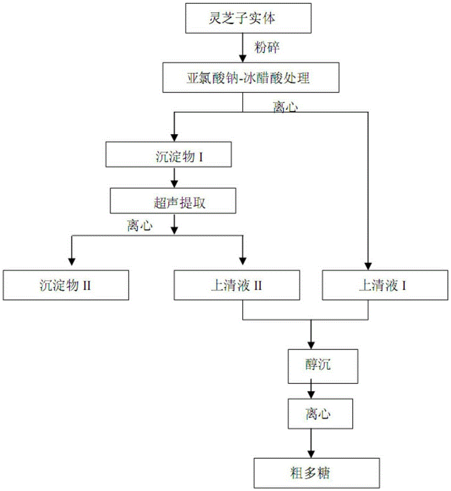 Method for extracting ganoderan from lucid ganoderma sporocarp