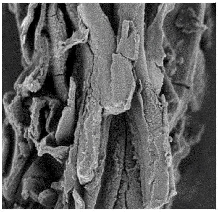 Method for extracting ganoderan from lucid ganoderma sporocarp