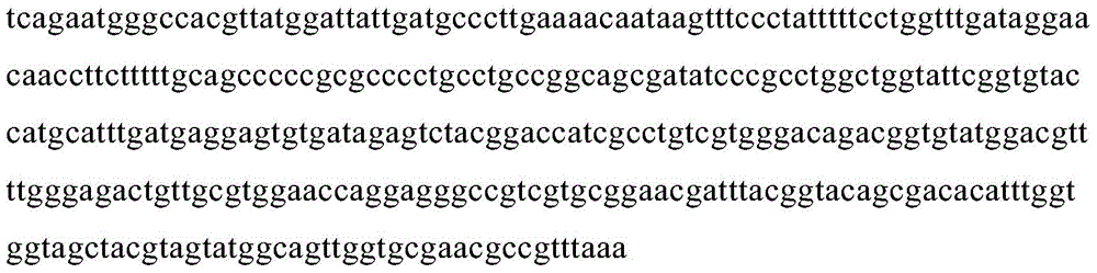 KSHV virus vIRF4 DNA binding domain and polyclonal antibody thereof, and preparation method of polyclonal antibody