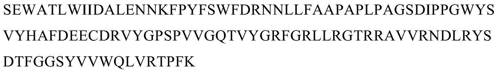 KSHV virus vIRF4 DNA binding domain and polyclonal antibody thereof, and preparation method of polyclonal antibody