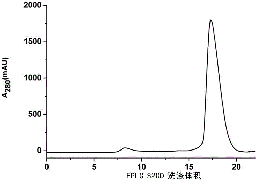 KSHV virus vIRF4 DNA binding domain and polyclonal antibody thereof, and preparation method of polyclonal antibody