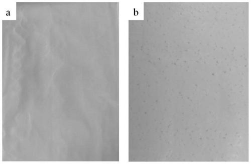 High-filling-capacity polytetrafluoroethylene composite film and preparation method thereof