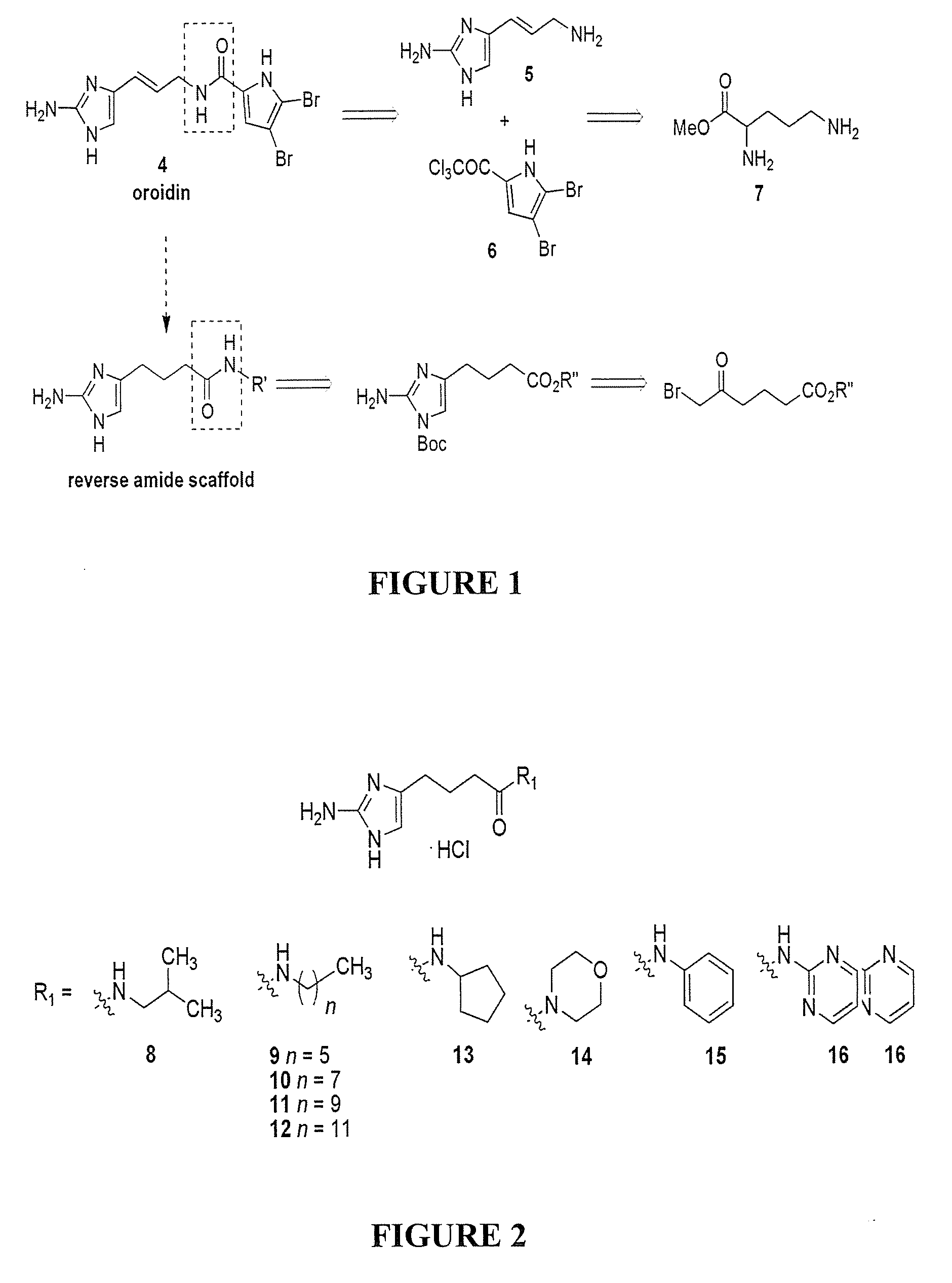 Inhibition of biofilms in plants with imidazole derivatives