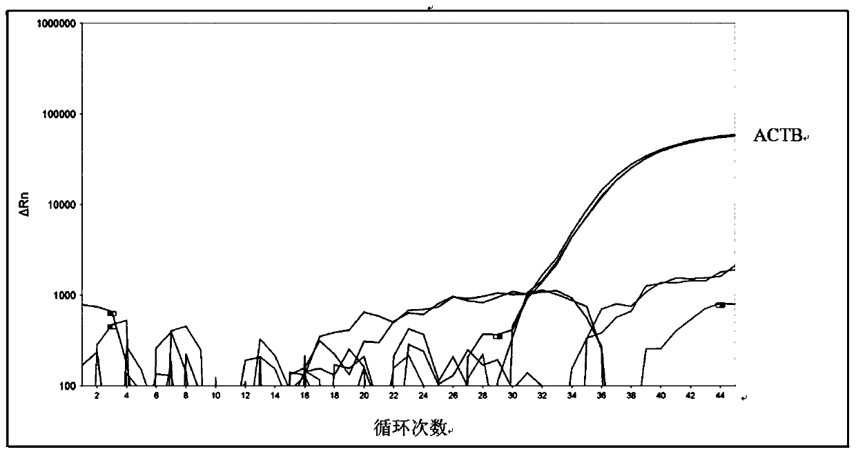 DNA methylation kit for colorectal cancer detection and detection method thereof