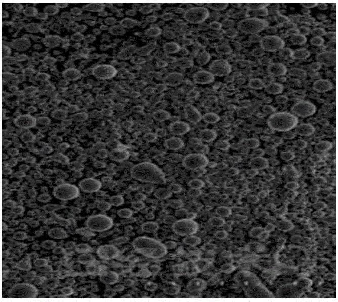 Lysozyme hydrochloride vaginal tablets, and preparation method and application thereof