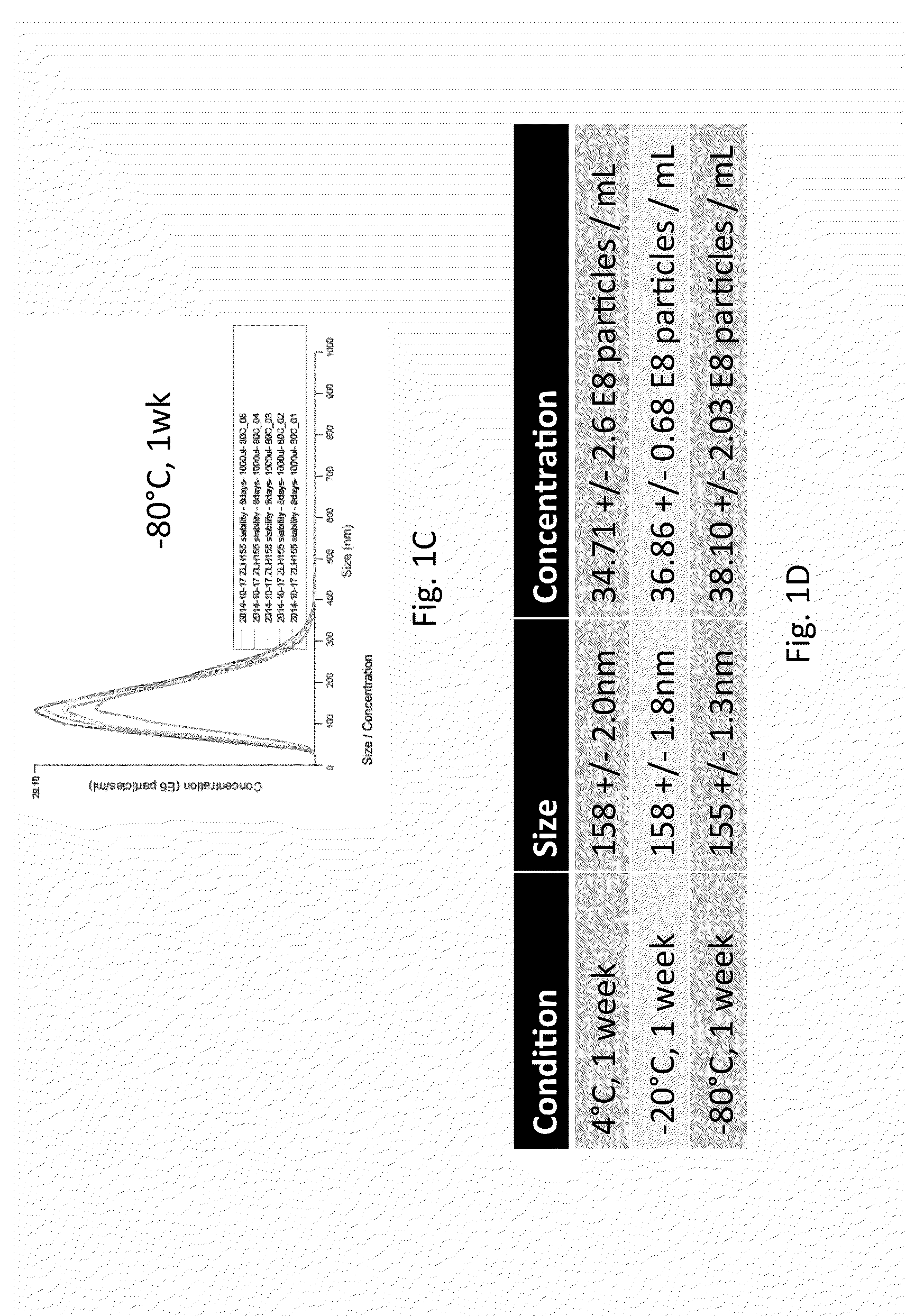 Processes for producing stable exosome formulations