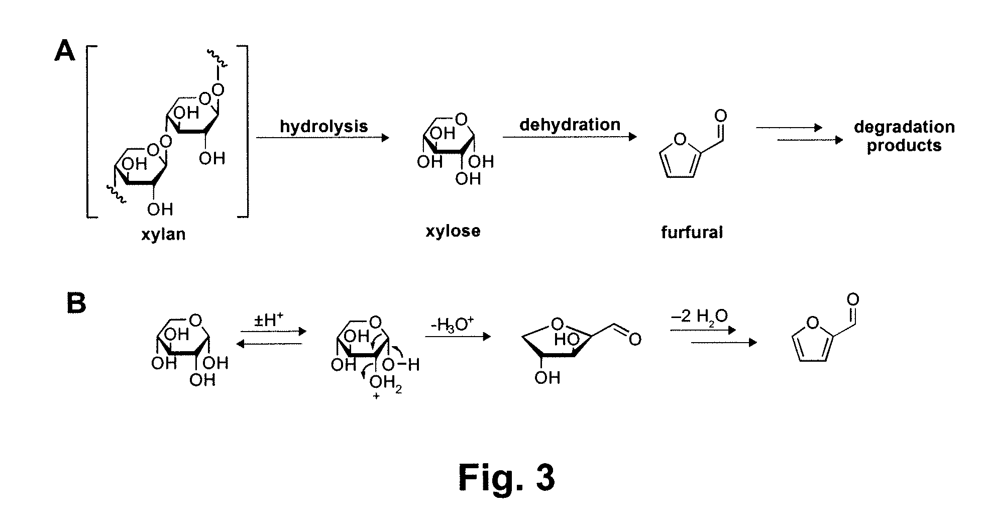 Chemical Transformation of Lignocellulosic Biomass into Fuels and Chemicals