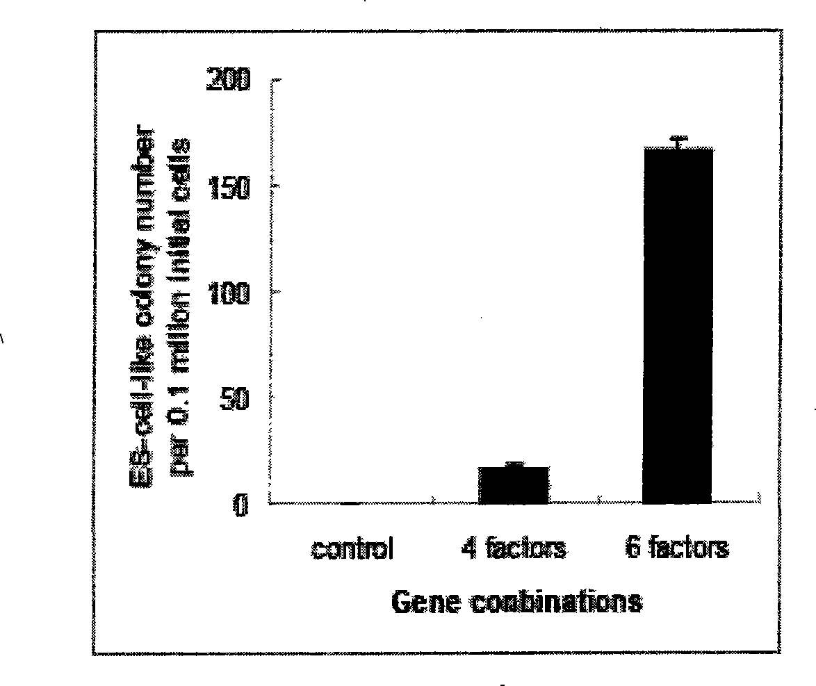 Method for preparing evoked pluripotent stem cell