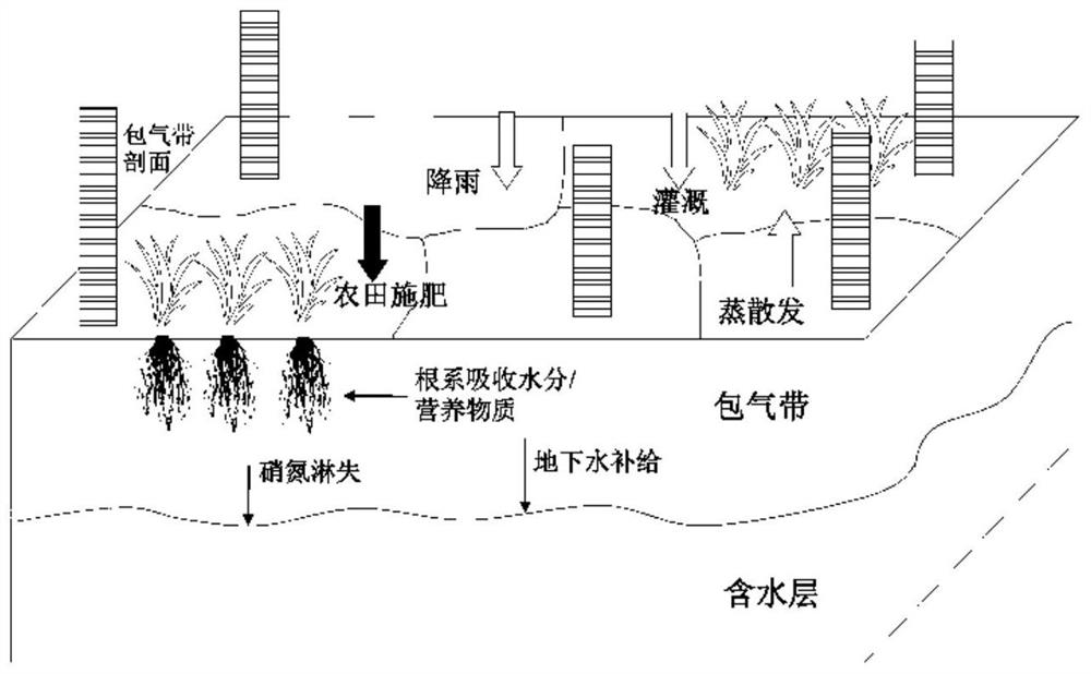 Underground water environment simulation method and device based on aeration zone-aquifer coupling