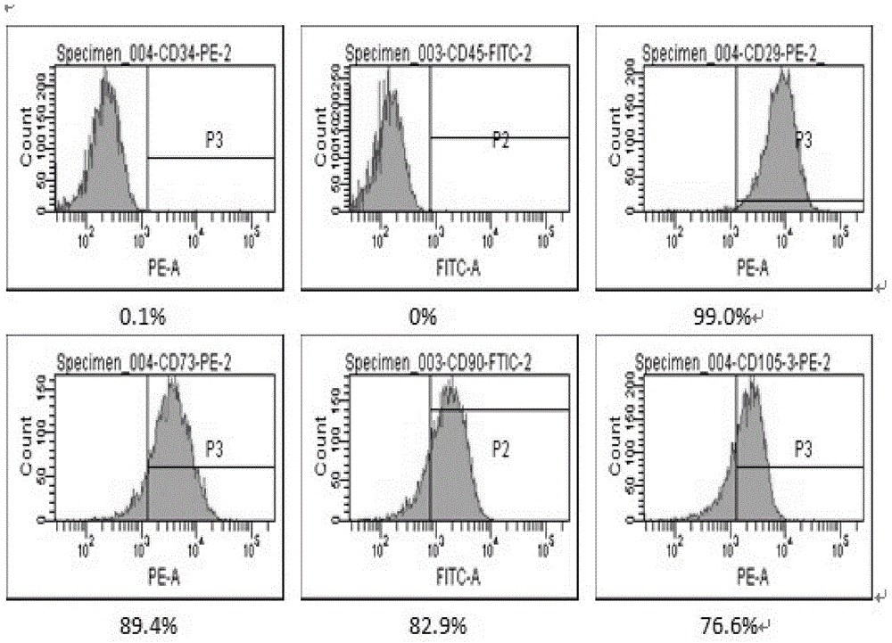 Fat mesenchymal progenitor cell and platelet-rich blood plasma composition for treatment of hepatitis B