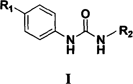 N,N'-aryl substituted urea compound and application thereof