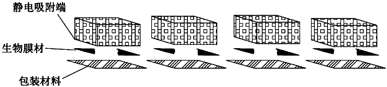 Natural biofilm material moving method