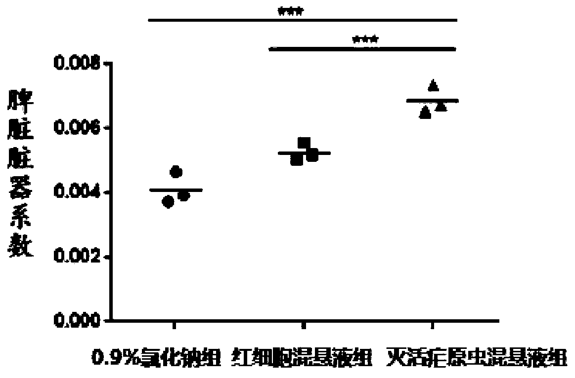 Application of inactivated plasmodium to preparing medicine for treating cancer