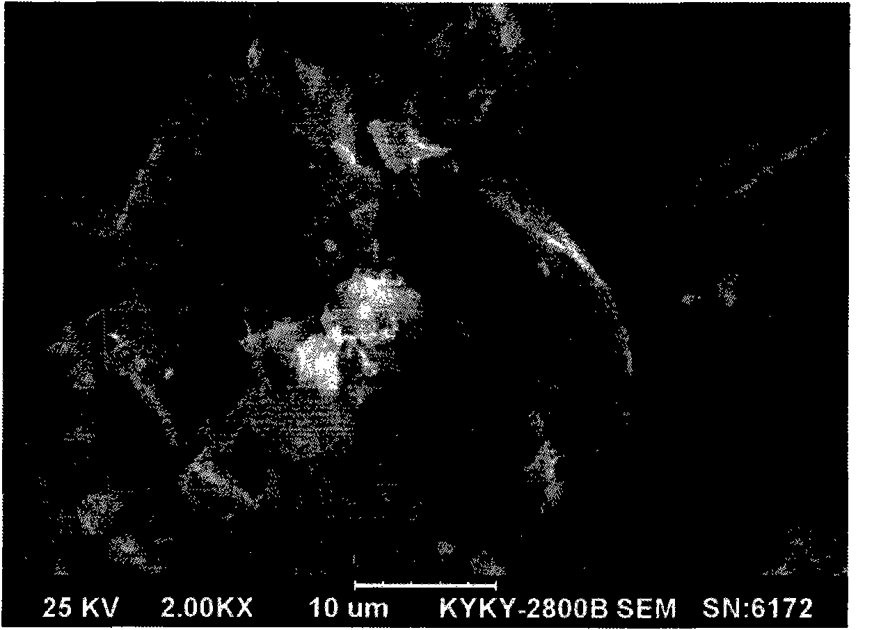 Composite hard carbon cathode material of lithium ion battery and preparation method thereof