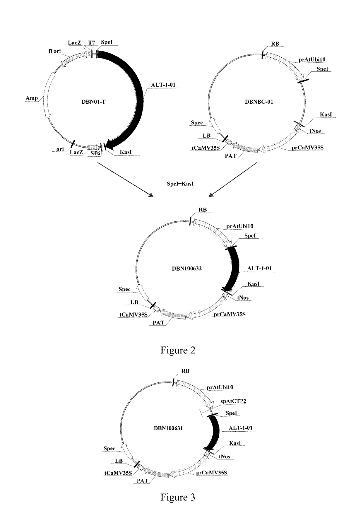 Use of herbicide-tolerant protein