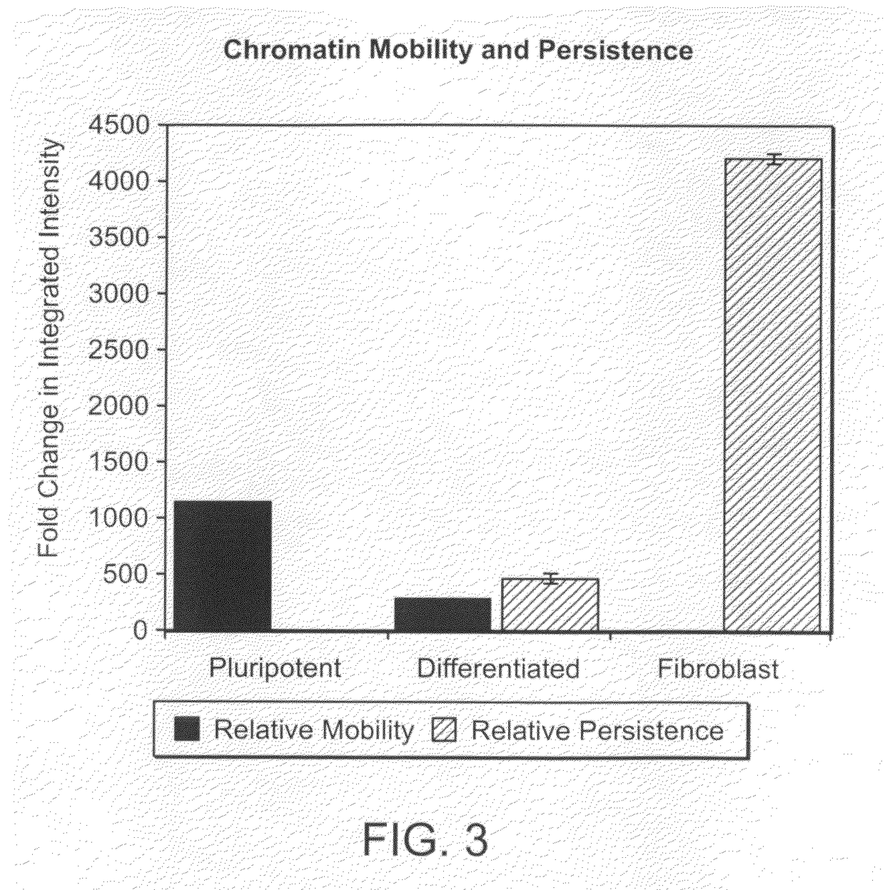 Image-based methods for measuring global nuclear patterns as epigenetic markers of cell differentiation