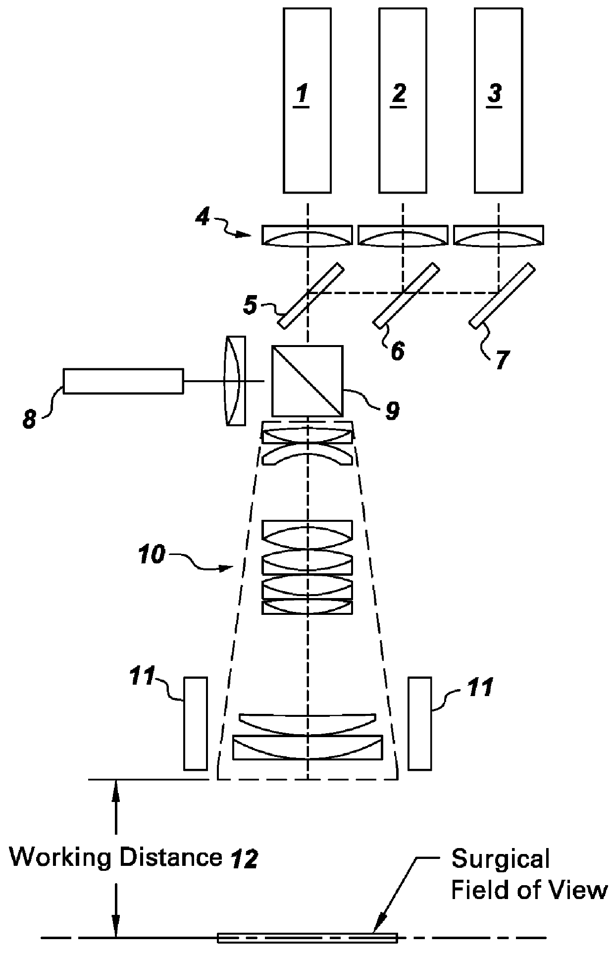 Systems for intraoperative nerve imaging