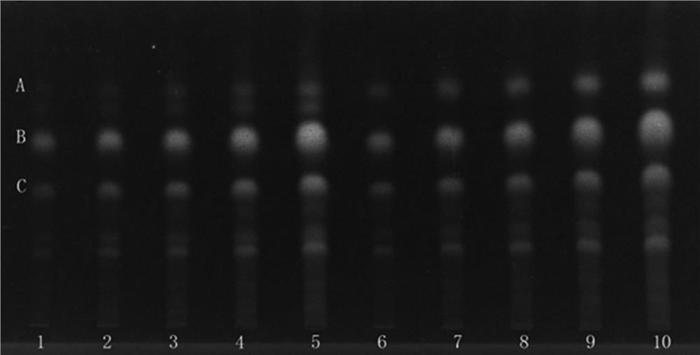 Quality detection method of Engelhardia roxburghiana wall dried leaves