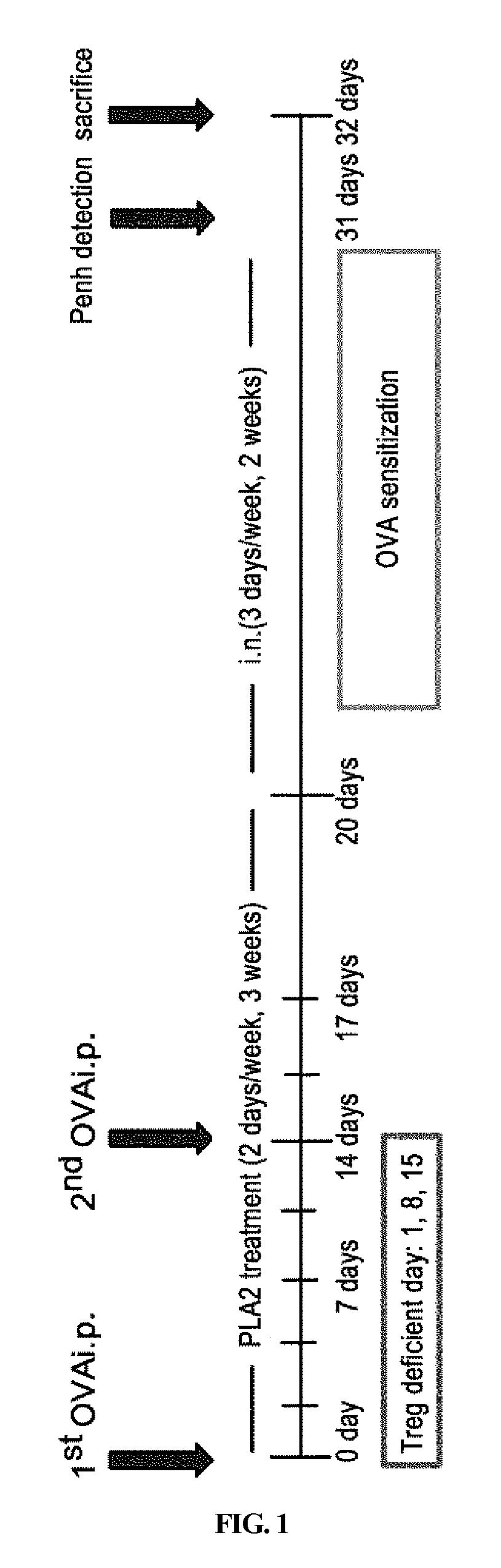 Pharmaceutical composition comprising bee venom-phospholipase A2 (BV-PLA2) for treating or preventing diseases related to degradation of abnormal regulatory T cell activity