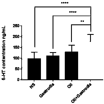 Gastrodia elata composition and application thereof