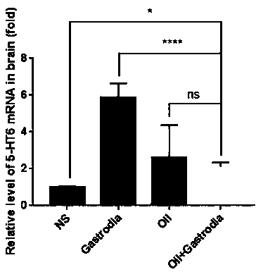 Gastrodia elata composition and application thereof