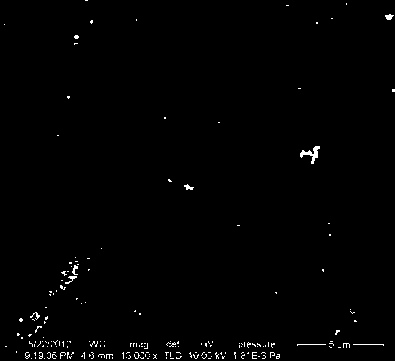 Preparation method of TiO2-nanotube-array-supported ruthenium-containing coating catalyst