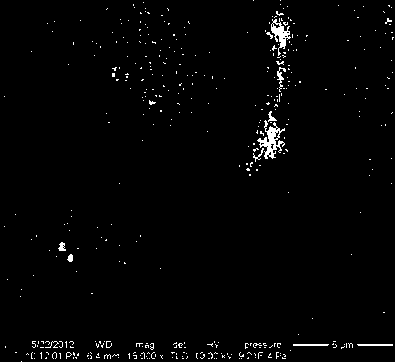 Preparation method of TiO2-nanotube-array-supported ruthenium-containing coating catalyst