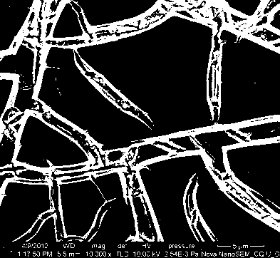 Preparation method of TiO2-nanotube-array-supported ruthenium-containing coating catalyst