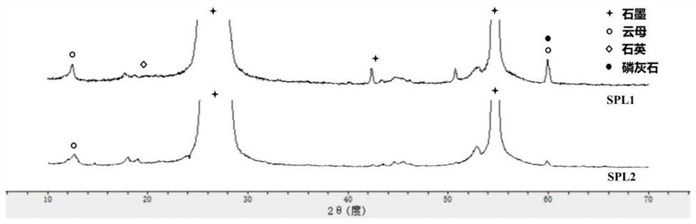 Graphite purification method and purification device