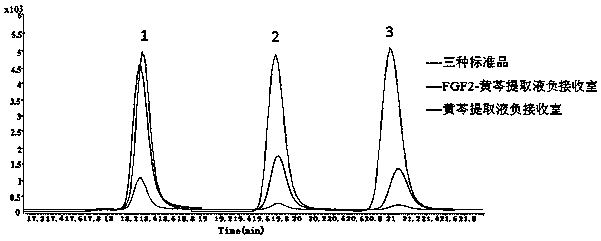 Application of three components of scutellaria baicalensis to synergistically improving cell proliferation enhancement of FGF2 (fibroblast growth factors 2)