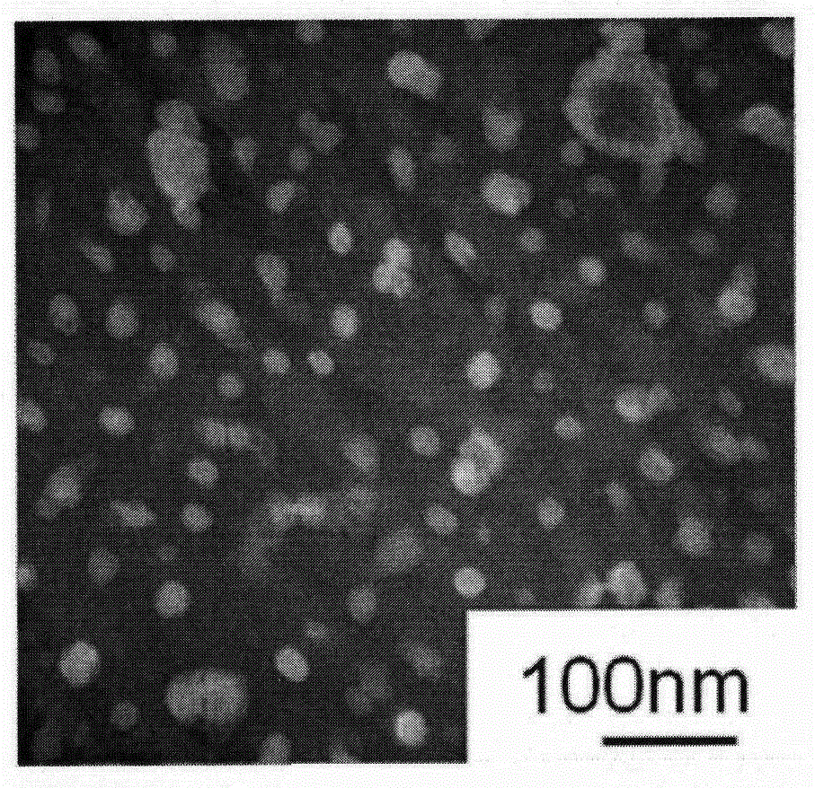 Andrographolide nanometer inhalant and application thereof to treatment of bacterial pneumonia