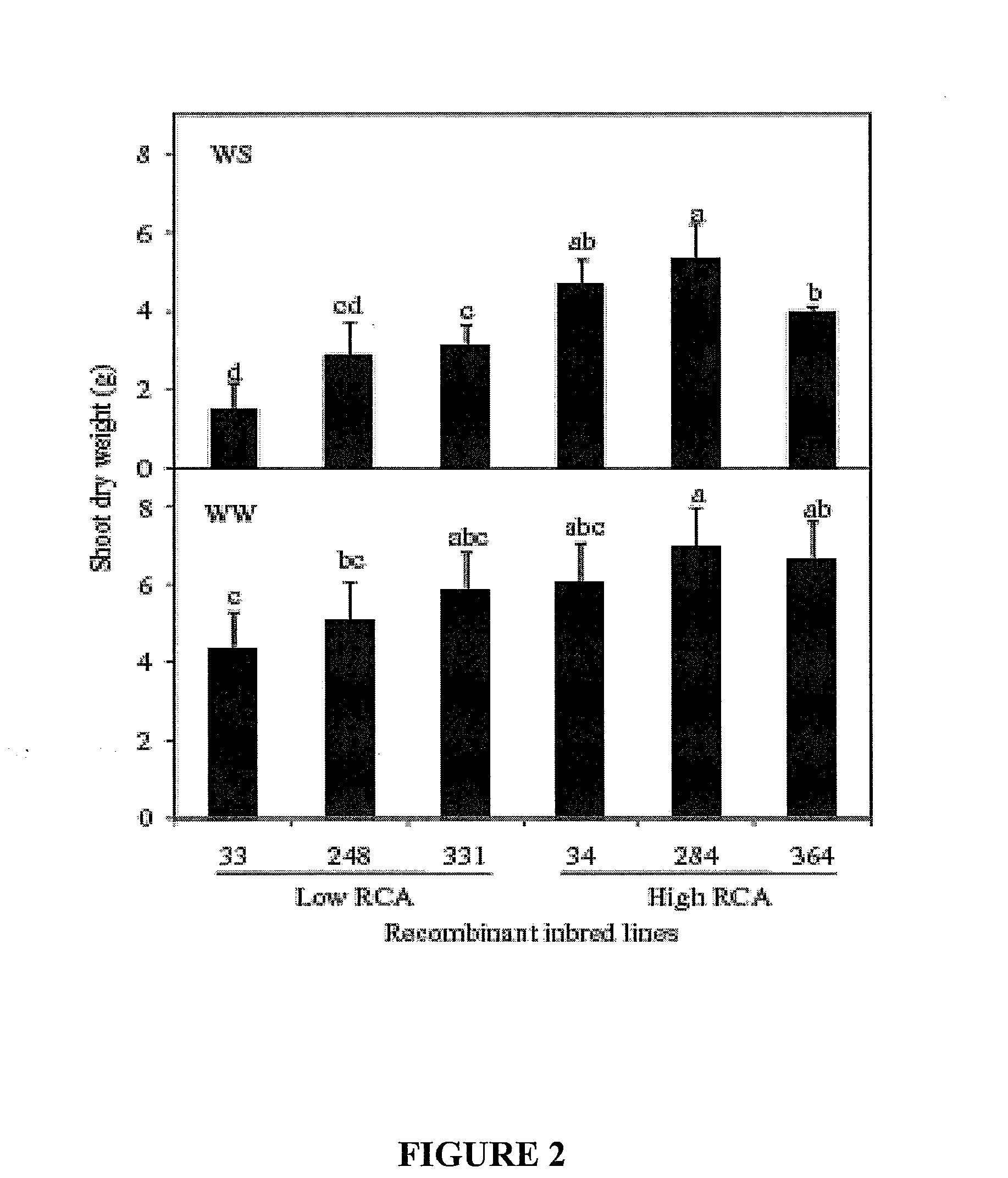 Method of increasing soil resource capture in a plant