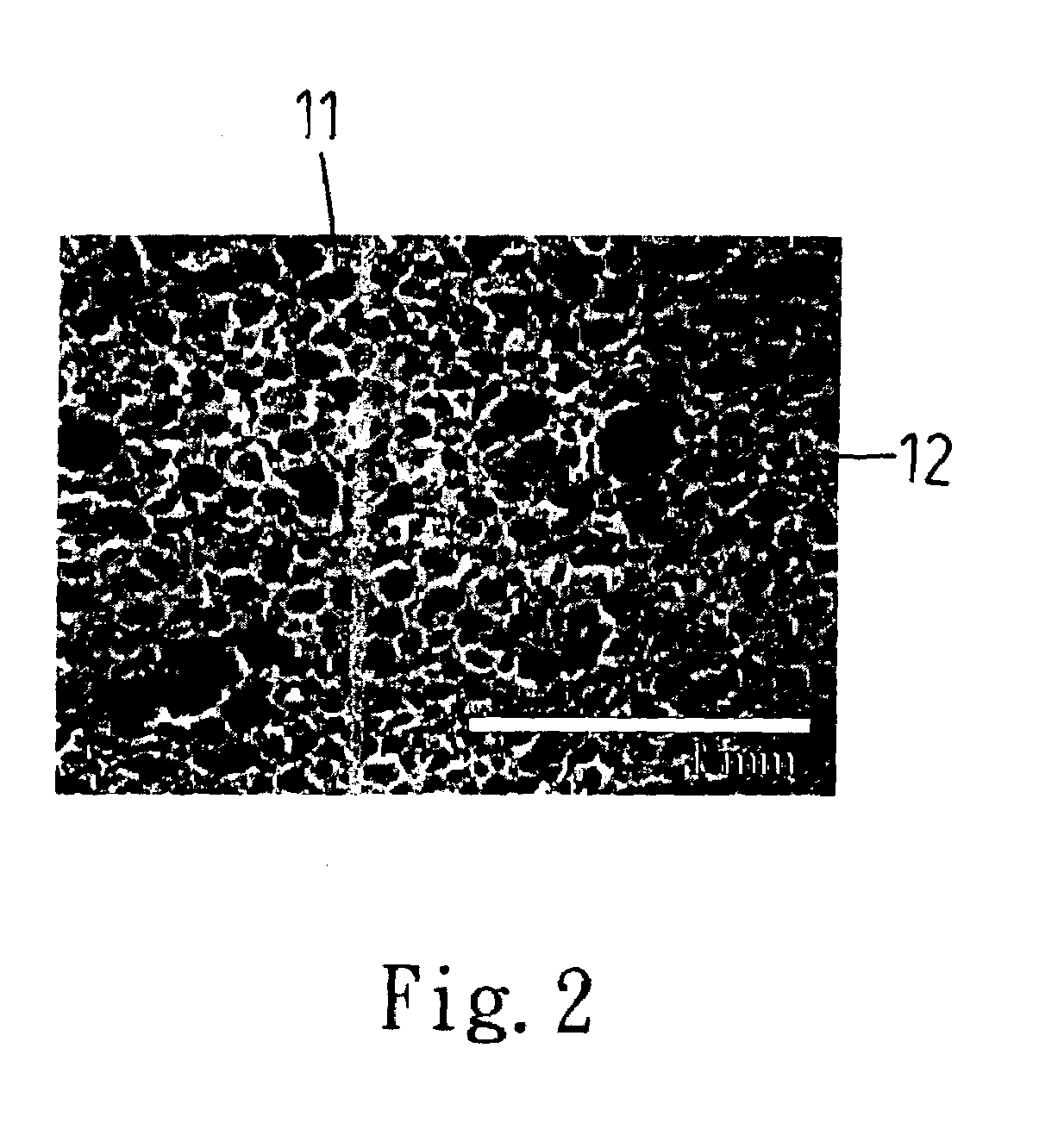 Health food processing process using germinated rice to make health food containing natural eatable fibers, GABA, IP6, and probiotic