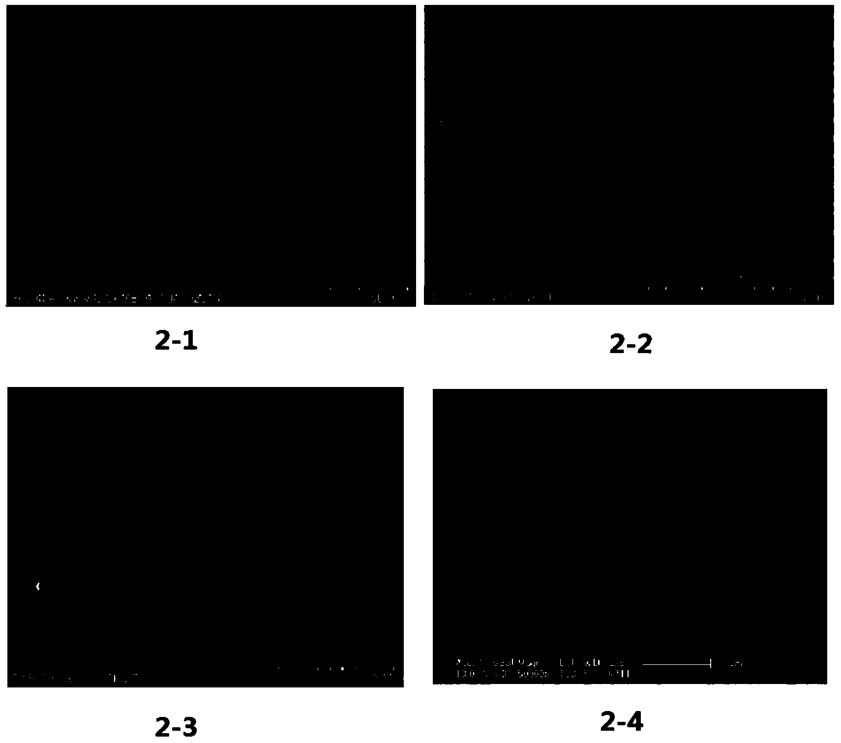 Array structure fabric surface and preparing method and application thereof