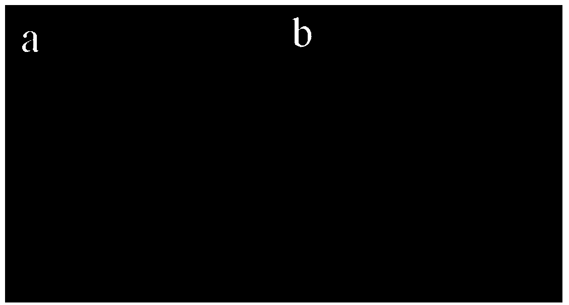 Array structure fabric surface and preparing method and application thereof