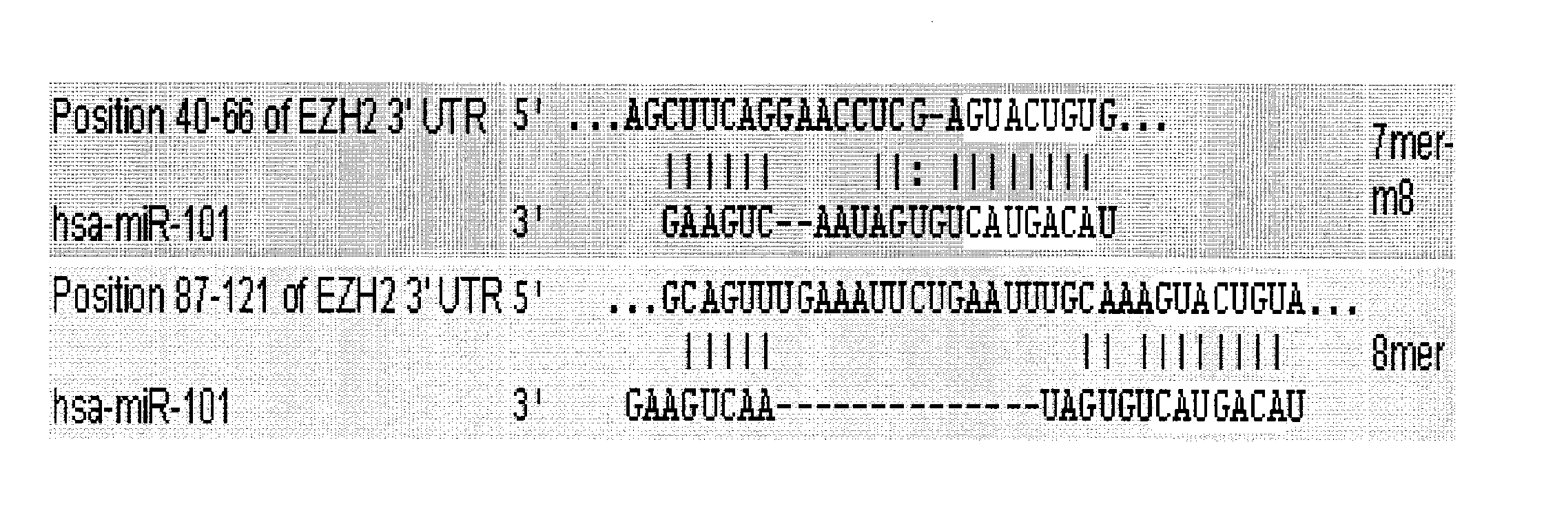 Compositions and methods for inhibiting ezh2